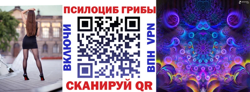 Галлюциногенные грибы мицелий цены гидра рабочий сайт Чехов